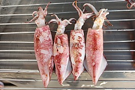 墨水,魷魚(yú),海鮮