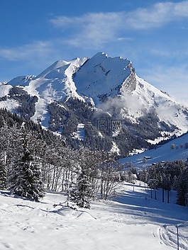 阿爾卑斯山,性質(zhì),景觀
