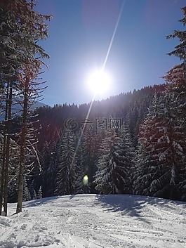 太陽(yáng),光線,景觀雪