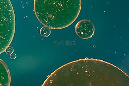 水包油,油眼,液體