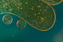 水包油,油眼,液体