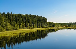 天空,森林,湖