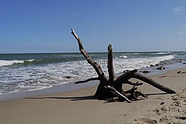 波羅的海,水,海灘