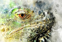 蜥蜴,水彩,綠色