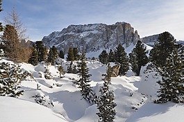 schee,山,冬天