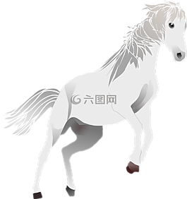 馬,小馬,標準