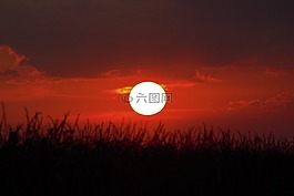 天 s,日出,夏季