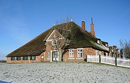 haubarg,冬天,茅草的屋顶