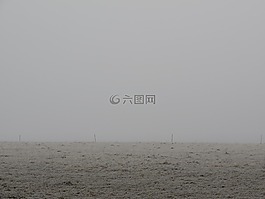 霧,天氣,冬天