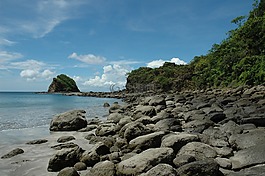 海,叢林,海灘