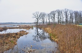 性質(zhì),水,美容