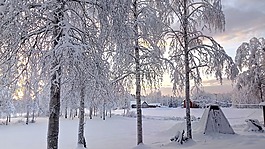 寒冬,圣誕節(jié),雪