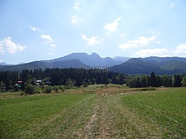 山,樹,景觀