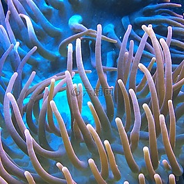 水族館,水,海