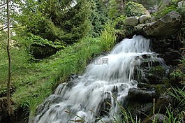 級聯(lián),水,綠色