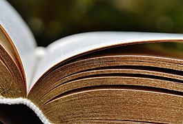 本書,安營,書頁