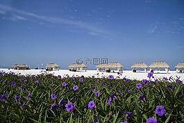 馬可島,佛羅里達(dá),假期