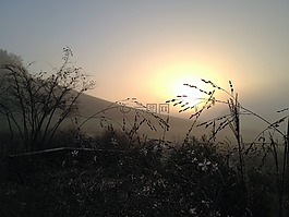 心情,日出,草