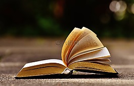 本書,安營,書頁