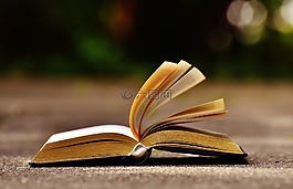 本書,安營,書頁