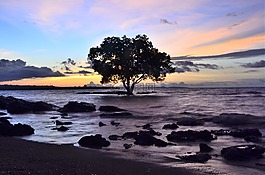 日落海,印度尼西亞,日落