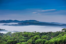 景觀,性質(zhì),霧