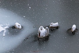 雪,冬天,水