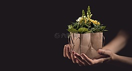 鮮花,花束,豐富多彩
