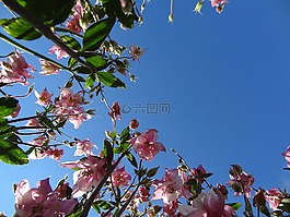 大自然,天空,太阳
