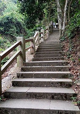臺階,綠色,棧道