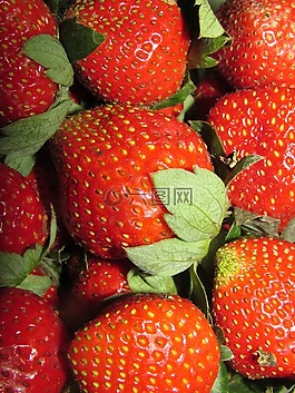 草莓,紅色,水果