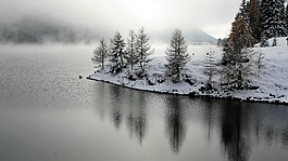 落葉松,冬季,景觀