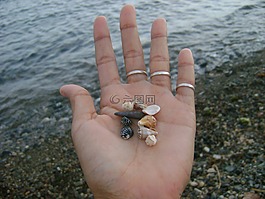 手,蝸牛,海