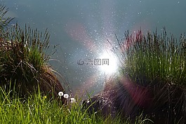 太阳,反射,水