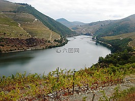 杜罗河,杜罗葡萄园,杜罗景观