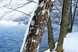 冬季,雪,阿爾卑斯山湖