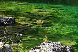 湖,水,池塘