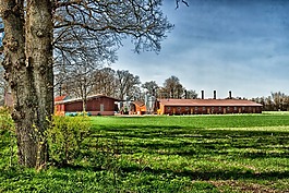 cloppenburg,德国,农场