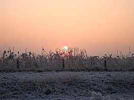 冬天,雪,自然
