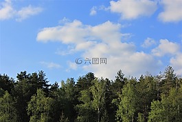 天空,森林,性質(zhì)