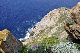 科西嘉,法國,海