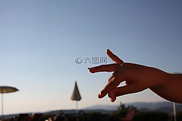 瓢虫,手指,手
