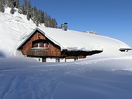 冬天,雪,首頁