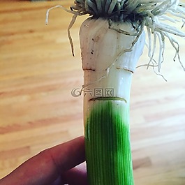 韭菜,蔬菜,有機