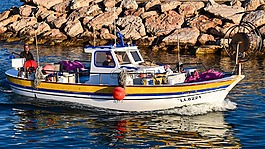 漁船,海港,釣魚
