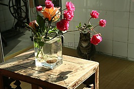插花,紅花,花朵