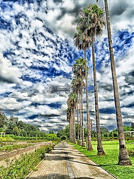 大阪,日本,植物園