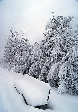 冬天,雪,寒冬