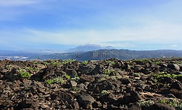 泰德,火山,特內里費