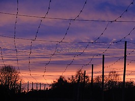 日落,傍晚的天空,hallertau